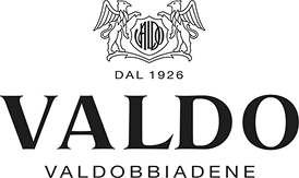 valdo-logo_SMALL